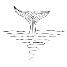 Abstract Hand Drawn Whale Tail Isolated On White Background.  Illustration. Line Art. Sketch