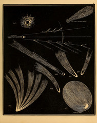 Wall Mural - astronomical illustration. old image