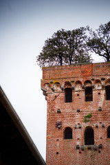 Wall Mural - Guinigi tower in Lucca, Italy