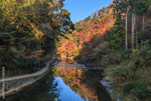秋の養老渓谷の共栄橋からみた中瀬遊歩道の風景 Photo Stock Adobe Stock 秋の養老渓谷の共栄橋からみた中瀬遊歩道の風景 Photo Stock Adobe Stock