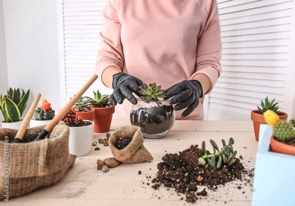 Woman transplanting succulent at table