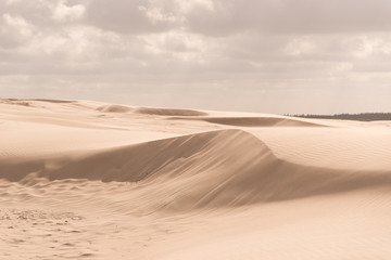 details of a sand dune in beautiful light.