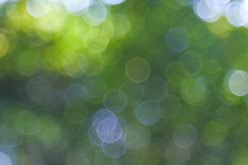 Wall Mural - natural green blurred background. abstract background with bokeh defocused lights. royalty high-qual