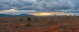 Fototapeta Na sufit - Panoramic of Tsavo East National Park, Kenya
