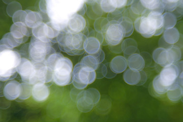 Green bio background, abstract blurred foliage bright sunlight. Organic design nature abstract background with copyspace for text advertising design. Green abstract light background and bokeh effect