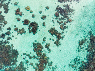 Wall Mural - Aerial top down people snorkeling on coral reef tropical caribbean sea, turquoise blue water. Indonesia Banyak Islands Sumatra, tourist diving travel destination.