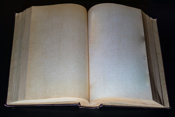 Blank sheets of a big old open book