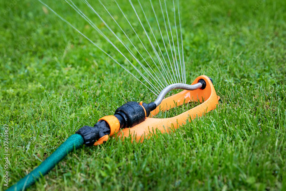 lawn watering - water sprinkler working in green grass at home backyard - obrazy, fototapety, plakaty 
