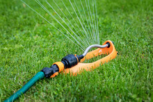 Lawn Watering - Water Sprinkler Working In Green Grass At Home Backyard