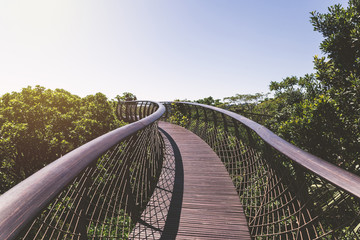 Wall Mural - Elevated wooden walkway with a view in botanical garden in South Africa