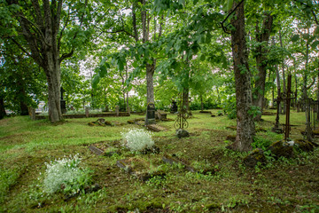 Wall Mural - old cemetery in estonia