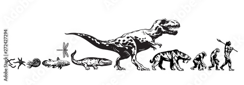 history of life on earth timeline of