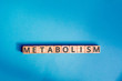metabolism inscription wooden cubes with letters on a blue background