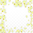 © Feliche _Vero - Vector Realistic Pink Petals Falling on Transparent Background.  Spring Romantic Flowers Illustration. Flying Petals. Sakura Spa Design. Blossom Confetti.