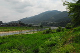 Fototapeta Góry - 川と河原の風景