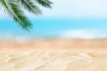 Wall Mural - Empty sand beach in front of summer sea and palm tree background with copy space