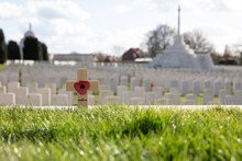 Remembrance Day - Row of Wooden Crosses with Poppies