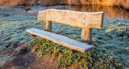 Wall Mural - Rough wooden bench in the early morning sun