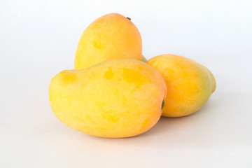 Wall Mural - ripe mango yellow on white background