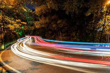 Wall Mural - Abstract image of blur motion of car on forest road at night