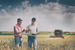 © Budimir Jevtic - People at harvest