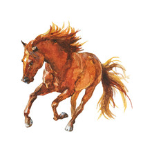 Watercolor Running Horse