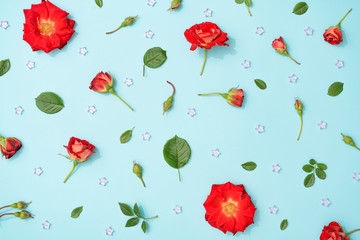 Wall Mural - Creative arrangement of red flowers and leaves on pastel blue background. Blooming rose concept. Flat lay. Minimal nature.