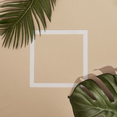 Top view of green tropical leaves and shadows on sand color background. Flat lay. Minimal summer concept with palm tree leaf. Creative copyspace with paper frame.