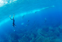 Free Diver Taking Photo For Schooling Dolphins