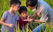 © Bo Bo/Stocksy - kids learning knowledge  about rice in the rice field