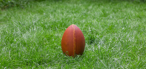 Wall Mural - brown rugby ball on the lawn