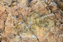 Natural Stone Texture With Brown White Specks Close-up