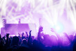 © NDABCREATIVITY - Cheering crowd with hands in air at music festival