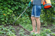 © Vitalii M - Protecting strawberry plants from fungal disease or vermin with pressure sprayer,