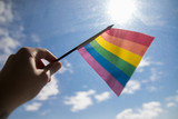 Fototapeta Tęcza - Gay man holding rainbow LGBT flag against blue sky.