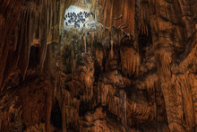 Bats Handing Upside Down In Beautiful Cave Formations With Stala
