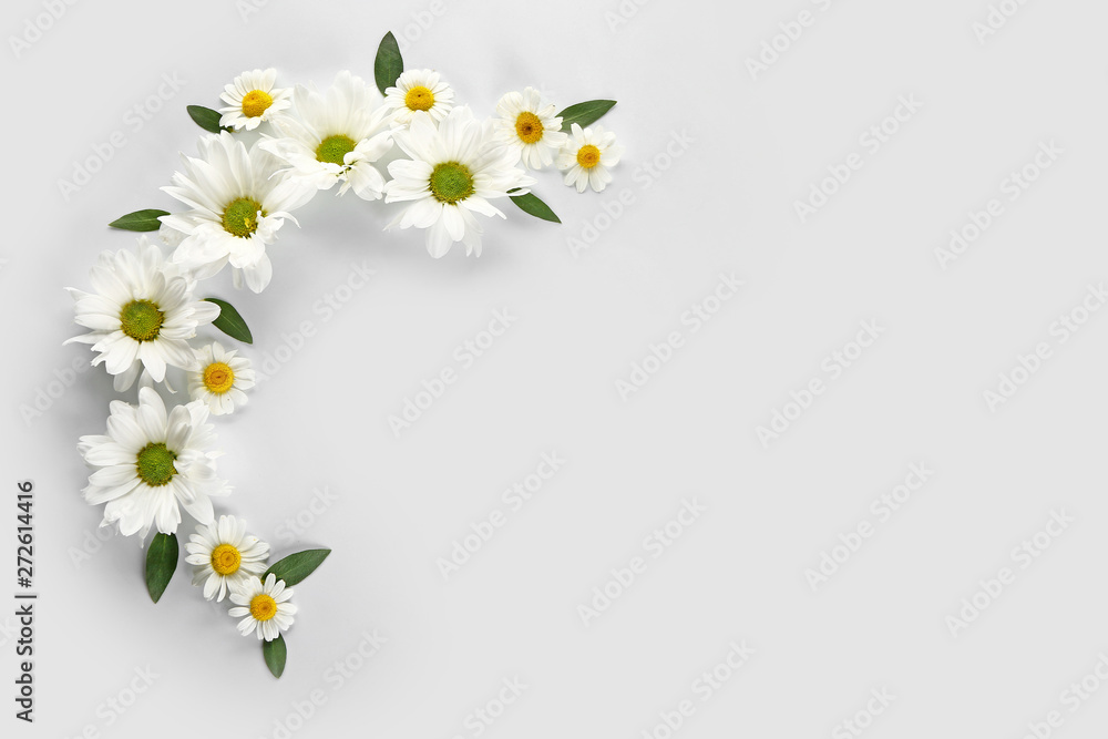 Many beautiful flowers on white background