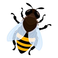 Wall Mural - Bee icon. Cartoon of bee vector icon for web design isolated on white background