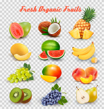 Collection Of Fruit And Berries. Watermelon, Honeydew, Guava, Coconut, Pineapple, Grapes, Mango, Peach, Pear, Banana, Kiwi. Vector Set.