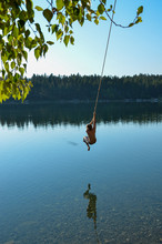A Guy Swinging On A Rope Swing Into A Lake In Canada