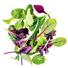 Salad mix with rucola, frisee, radicchio, chard and lamb's lettuce. Green salad Isolated on white background