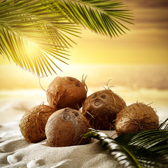 Wall Mural - Fresh coconuts fruits on beach and green palms leaves. Summer sunset time. 