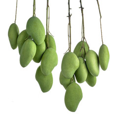 Wall Mural - Green mango isolated on white