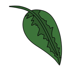 Poster - ecology leaf plant nature icon