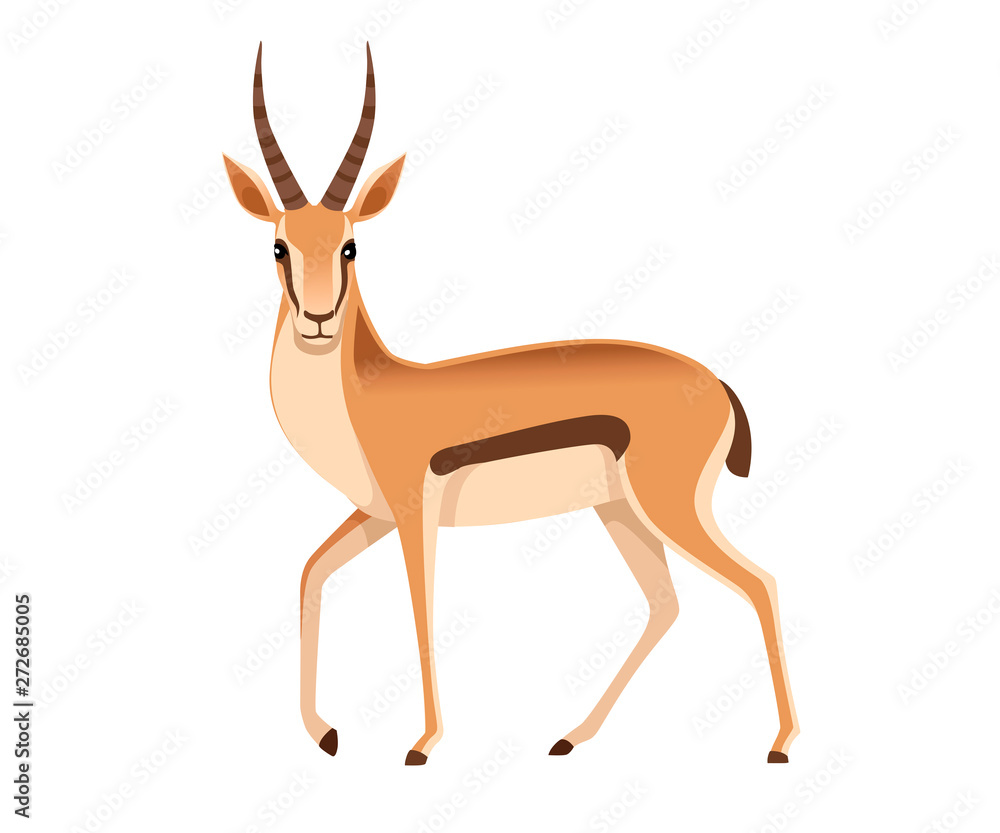 African wild black-tailed gazelle with long horns cartoon animal design flat vector illustration on white background side view antelope - obrazy, fototapety, plakaty 