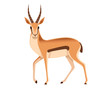 African wild black-tailed gazelle with long horns cartoon animal design flat vector illustration on white background side view antelope