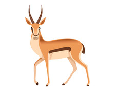 African Wild Black-tailed Gazelle With Long Horns Cartoon Animal Design Flat Vector Illustration On White Background Side View Antelope