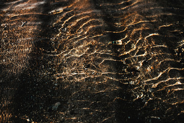 Wall Mural - A dark background of sun and shadows on sandy ocean floor