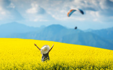Smiling Pretty Girl  In Blooming Yellow Field With Hands Up. Looking At The Kite In The Sky.