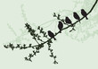 Silhouettes of birds sitting on a tree branch